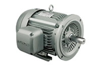 IEEE HL Model - IEEE841, Premium Efficiency, Three Phase, TEFC, D-Flange, Foot Mounted Electric Motors