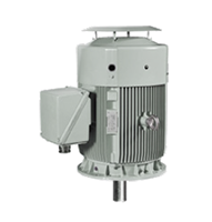 IEEE HL Model - IEEE841, Premium Efficiency, Three Phase, TEFC, D-Flange, Footless Electric Motors