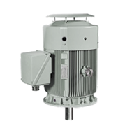 IEEE HL Model - IEEE841, Premium Efficiency, Three Phase, TEFC, Vertical, C-Face, Footless Electric Motors