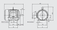 IEEE HL Model - IEEE841, Premium Efficiency, Three Phase, TEFC, Foot Mounted Electric Motors - 2