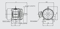 IEEE HL Model - IEEE841, Premium Efficiency, Three Phase, TEFC, Foot Mounted Electric Motors - 4