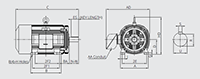 IEEE HL Model - IEEE841, Premium Efficiency, Three Phase, TEFC, Foot Mounted Electric Motors - 5