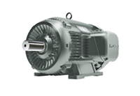IEEE HL Model - IEEE841, Premium Efficiency, Three Phase, TEFC, Foot Mounted Electric Motors
