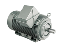 IEEE XL Model - IEEE841, Three Phase, TEFC, C-Face, Foot Mounted Large Electric Motors