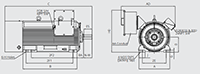 IEEE XL Model 600 Horsepower (hp) Power and 3570 Revolutions Per Minute (rpm) Speed Foot Mounted Electric Motor - 2