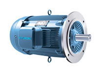 HES/HHI Model - Severe Duty, Premium Efficiency, Three Phase, TEFC, D-Flange, Footless Electric Motors