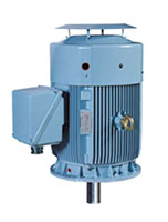 HES/HHI Model - Severe Duty, Premium Efficiency Three Phase, TEFC, Vertical, C-Face, Footless Electric Motors