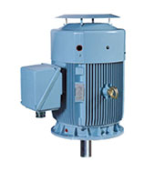 HES/HHI Model - Severe Duty, Premium Efficiency, Three Phase, TEFC, Vertical, D-Flange, Footless Electric Motors