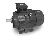 MAX-IE3™ Metric TEFC Three Phase Motors
