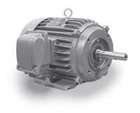 Cast Iron Three Phase TEFC Severe Duty Motors