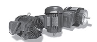 XP Series Three Phase NEMA Premium TEXP Explosion Proof Motors