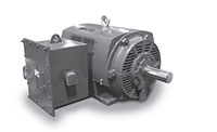 PG Global Series Three Phase NEMA Premium Efficiency Medium Voltage Motors