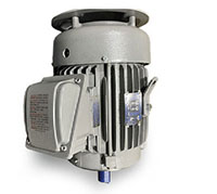 MAX-E2/841® HBV-P Series NEMA Premium Three Phase TEFC Severe Duty Motors