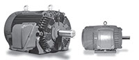 MAX-HT™ CDP Series NEMA Premium Three Phase TEFC Severe Duty Motors