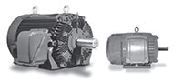 MAX-HT™ CD Series NEMA Premium Three Phase TEFC Severe Duty Motors