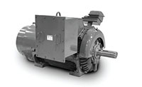 JF Global Series High Efficiency Medium Voltage Motors