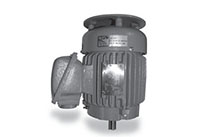 MAX-VSP™ VSP Series NEMA Premium Three Phase Vertical Solid Shaft Motors