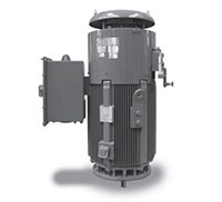 VSKTP Series Vertical Solid Shaft NEMA Premium Three Phase TEFC Vertical Solid Shaft Motors