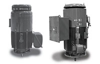 VHTP Series Three Phase NEMA Premium TEFC Vertical Hollow Shaft Motors