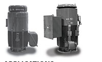 VHTP Series Three Phase NEMA Premium TEFC Vertical Hollow Shaft Motors