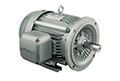 IEEE HL Model - IEEE841, Premium Efficiency, Three Phase, TEFC, D-Flange, Foot Mounted Electric Motors