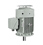 IEEE HL Model - IEEE841, Premium Efficiency, Three Phase, TEFC, D-Flange, Footless Electric Motors