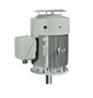 IEEE HL Model - IEEE841, Premium Efficiency, Three Phase, TEFC, Vertical, C-Face, Footless Electric Motors
