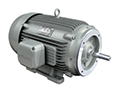 IEEE HL Model - IEEE841, Premium Efficiency, Three Phase, TEFC, C-Face, Foot Mounted Electric Motors