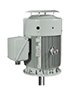IEEE HL Model - IEEE841, Premium Efficiency, Three Phase, TEFC, Vertical, D-Flange, Footless Electric Motors