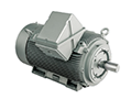 IEEE XL Model - IEEE841, Three Phase, TEFC, C-Face, Foot Mounted Large Electric Motors