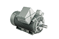 IEEE XL Model - IEEE841, Three Phase, TEFC, Foot Mounted Large Electric Motors