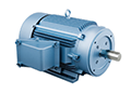 IXHHI Model - Explosion Proof, Premium Efficiency Three Phase, TEFC, C-Face, Foot Mounted Electric Motors