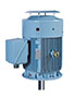 HES/HHI Model - Severe Duty, Premium Efficiency Three Phase, TEFC, Vertical, C-Face, Footless Electric Motors