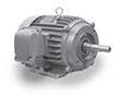 Cast Iron Three Phase TEFC Severe Duty Motors