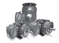 MAX-E1™ NEMA Premium Three Phase TEFC Severe Duty Motors