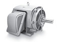 AEGIS® Soft Ground Relay (SGR) Cast Iron Open Drip Proof (ODP) General Purpose Motors