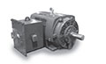 PG Global Series Three Phase NEMA Premium Efficiency Medium Voltage Motors