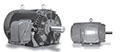 MAX-HT™ CDP Series NEMA Premium Three Phase TEFC Severe Duty Motors