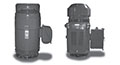 VHP Series Three Phase NEMA Premium Vertical Hollow Shaft Motors