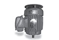 MAX-VSP™ VSP Series NEMA Premium Three Phase Vertical Solid Shaft Motors