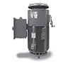 VSKTP Series Vertical Solid Shaft NEMA Premium Three Phase TEFC Vertical Solid Shaft Motors