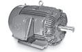 MAX-E2/841® Lite HH Series NEMA Premium Three Phase TEFC Severe Duty Motors